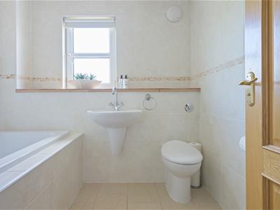 Picture 29
